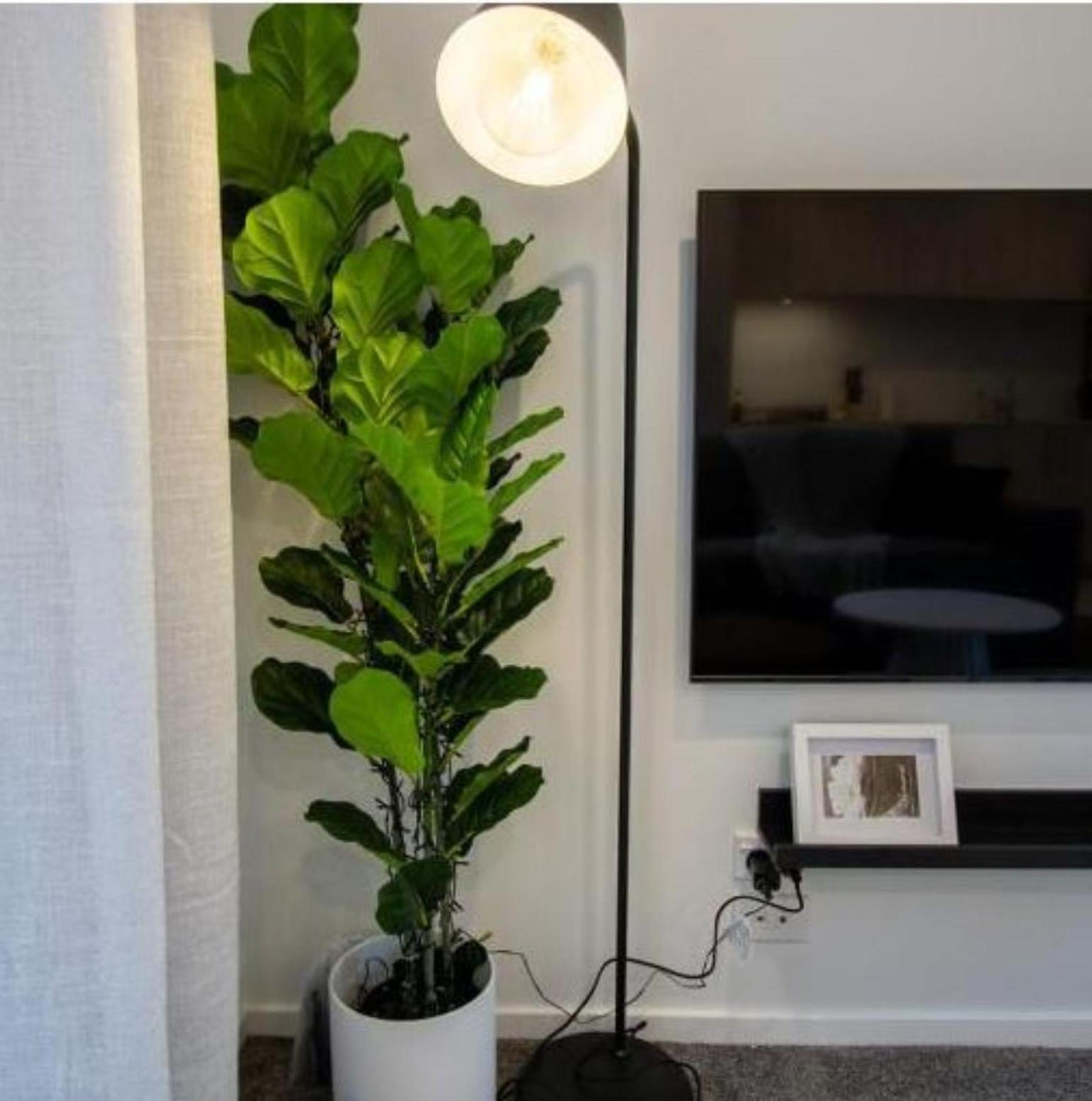 A Touch Of Luxury In Chch Cbd Apartment Christchurch Bagian luar foto